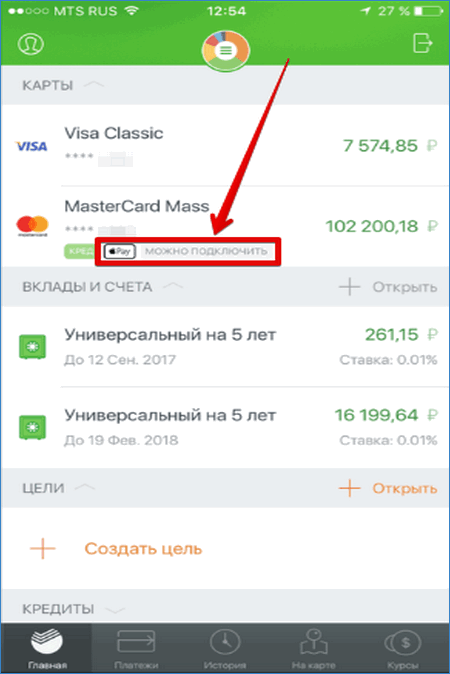 Меню карты Сбербанк Онлайн для Apple Pay